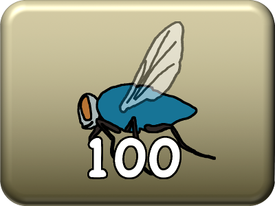 100 Flies 100 Flies